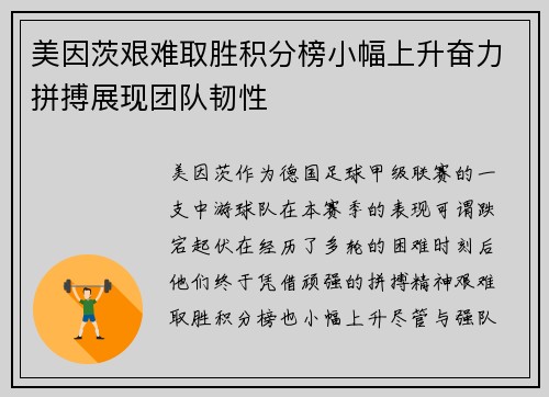 美因茨艰难取胜积分榜小幅上升奋力拼搏展现团队韧性